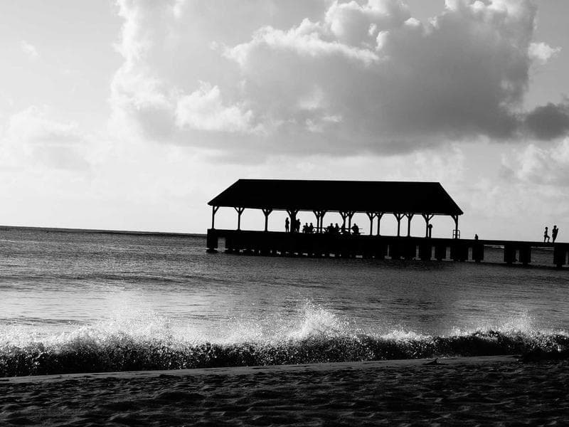 Discover the best of Cat Mats