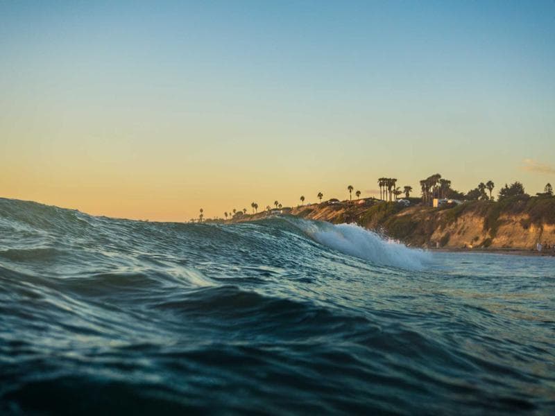 Discover the best of Cat Mats